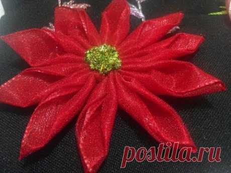 NOCHEBUENA PLANA Flat Poinsettia