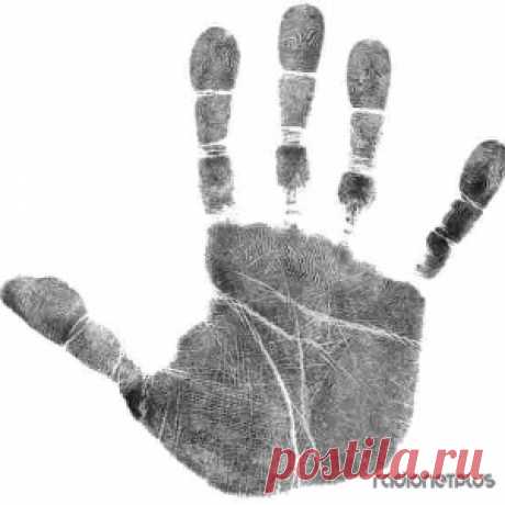 Хиромантия: типы рук