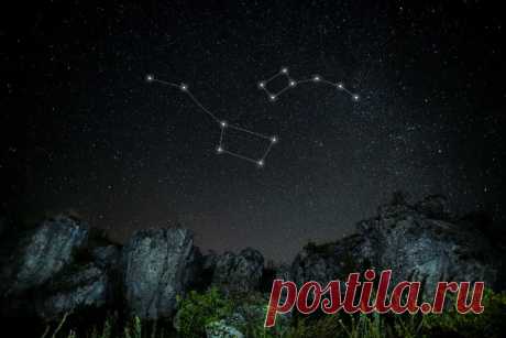 В каком созвездии находится Полярная звезда?