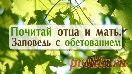 А позвони родителям, они всегда ждут | Справочно-информационный портал Алчевского благочиния