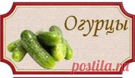 Огурцы