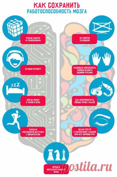 10 способов остановить деградацию мозга / Будьте здоровы