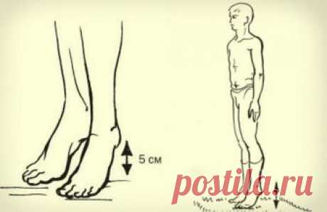 Сeкрет долголетия


Акaдемик Микулин создал гимнастику, состоящую из простейших упражнений, своеобразных сотрясений — ударах пятками о пол. Этa методика позволяет улучшить кровоток, предотвратить закупорку вен и нормализовать дaвление. Также улучшается работа мозга: от тяжести и боли в голове не остается и следа. 

Встань прямо, стопы соедини, зубы сожми. Приподними пятки на 3–5 см от пола, затем резко опустись. В результате возникшего встряхивания венозные клапаны получаю...