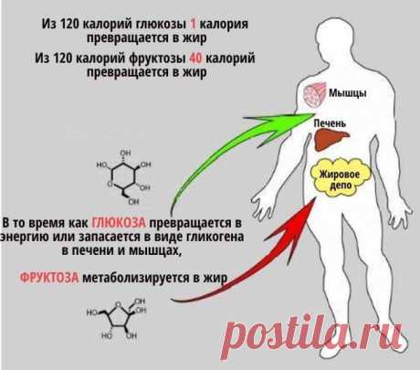 Фруктоза – самый сладкий углевод природного происхождения. Она не переваривается организмом, а направляется в печень и там превращается в жир. И по мере увеличения жира в этом органе появляется сопротивляемость инсулину и диабет второго типа. Вот к чему приводит жировая дистрофия печени.