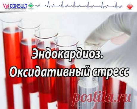 Оксидативный стресс у собак с миксоматозной болезнью митрального клапана Малоновый диальдегид, токоферол