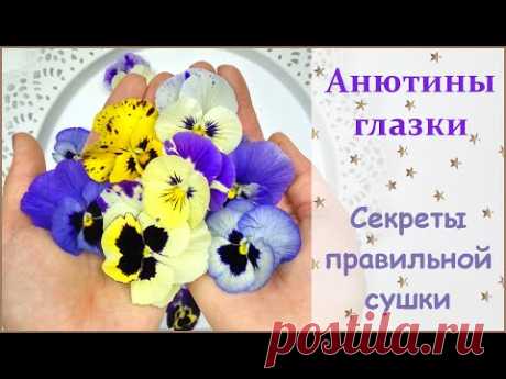 ЮВЕЛИРНАЯ СМОЛА || Как засушить анютины глазки? How to dry a viola?