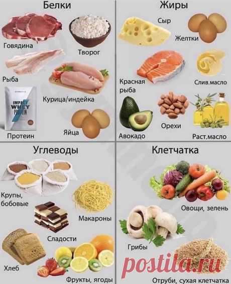 Содержание белков и прочее в продуктах