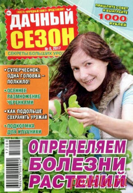 Дачный сезон (№8 2017) Читать и скачать журналы онлайн