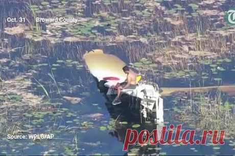 Спасение пилота из кишащего крокодилами болота попало на видео. Легкомоторный самолет Cessna Skyhawk 172M потерпел крушение и упал в кишащее крокодилами болото во Флориде. Пилот воздушного судна поранил ногу, и ему пришлось наложить жгут, пока он ждал спасателей. Те прибыли на вертолете через девять часов и подняли мужчину в кабину с помощью троса.