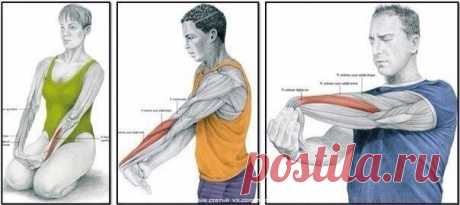 Зачем нужна растяжка и как правильно растягиваться?