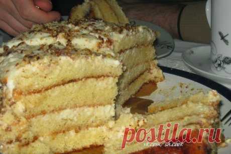 шеф-повар Одноклассники: Самый простой и самый нежный, очень вкусный тортик