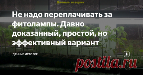 Не надо переплачивать за фитолампы. Давно доказанный, простой, но эффективный вариант