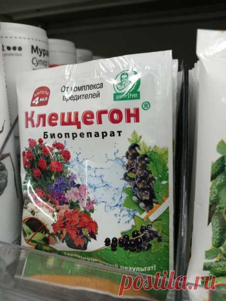 Памятка по средствам от вредителей. Как не купить зря все одинаковые, как чередовать, чтоб эффект не пропал | Цветочная няша | Дзен