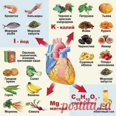 Продукты, запрещённые и рекомендуемые при заболеваниях сердечно-сосудистой системы.