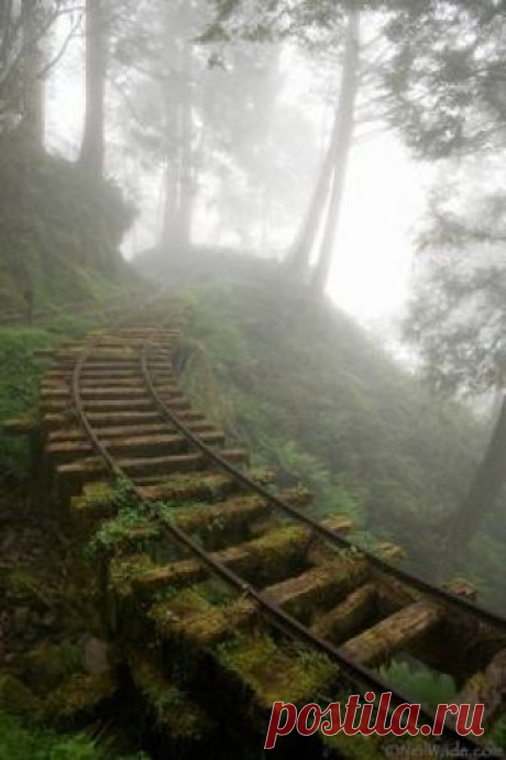 These photos give new meaning to the phrase "hauntingly beautiful." It's amazing how each location holds its own breathtaking charm.