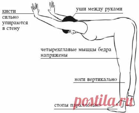 Жесткие подколенные сухожилия - ловушка для спины.