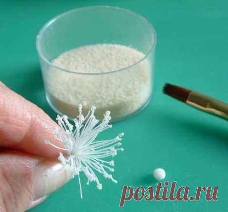 Sugar Flower Tutorial COTTON STAMENS