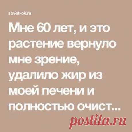 (366) Мне 60 лет, и это растение вернуло мне зрение, удалило жир из моей печени и полностью очистила толстую кишку! | Мамам