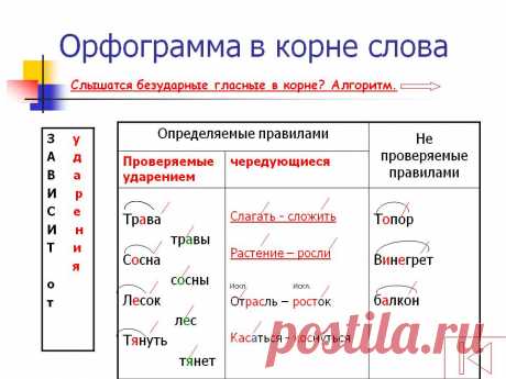 Орфограмма в корне слова - Презентация 21461-6