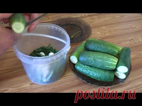 Малосольные огурцы (холодный способ). Lightly salted cucumbers (cold method).