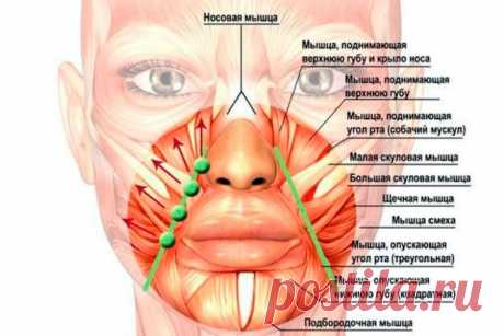 Массаж вокруг рта языком: можно делать везде, губы становятся заметно полнее, носогубки разглаживаются | ✧Сама себе косметолог✧ | Яндекс Дзен