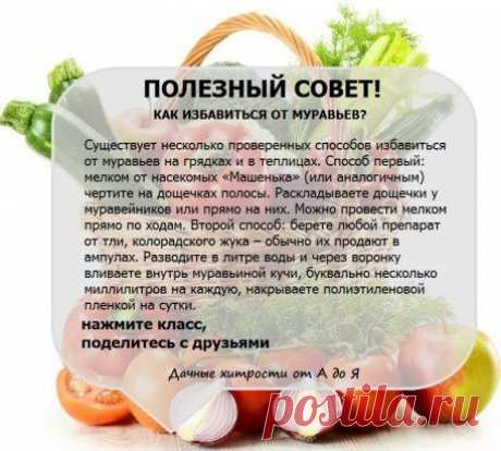 полезные советы