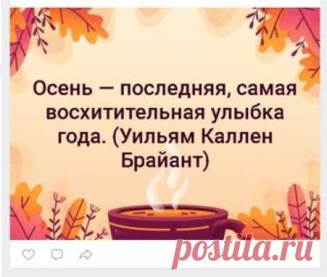 Постер в ВК: как красиво оформить текстовую запись, новая функция Постеры Вконтакте - Ladiesvenue.ru