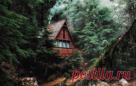 Фотоподборка: 65 волшебных домиков в лесу — INMYROOM
