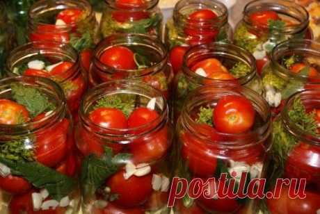 Консервирование: 5 самых необычных засолок с помидорами / Простые рецепты