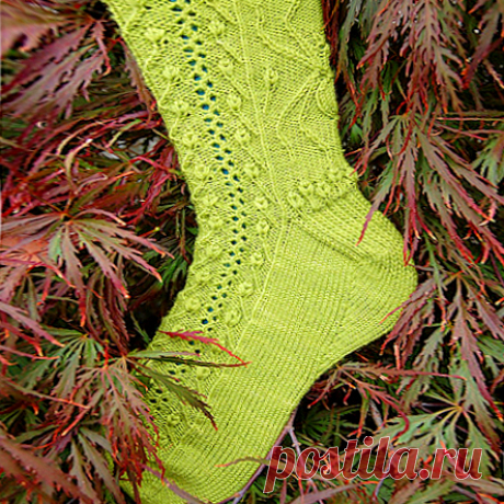 Красивые носки спицами «Садовник» от Лесли Комсток. Описание | Креаликум