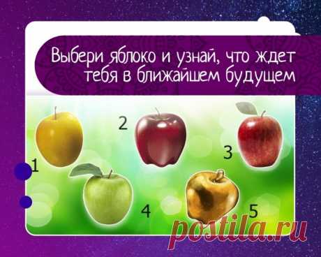 Выбранное яблоко расскажет человеку, что его ожидает в ближайшем будущем