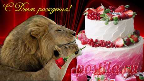 Картинка открытка С Днём рождения Лев поздравляет львицу - КакЧтоГде