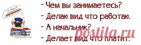 Чем Вы занимаетесь?