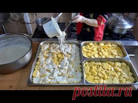 Potato Gratin Vegetarian Recipe Bechamel Sauce Cheddar Cheese Baking - YouTube