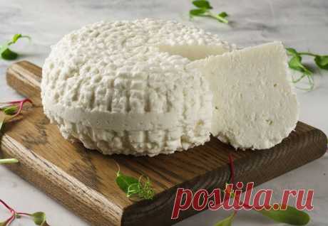 Адыгейский сыр готов за 2 часа: нужно только молоко и кефир