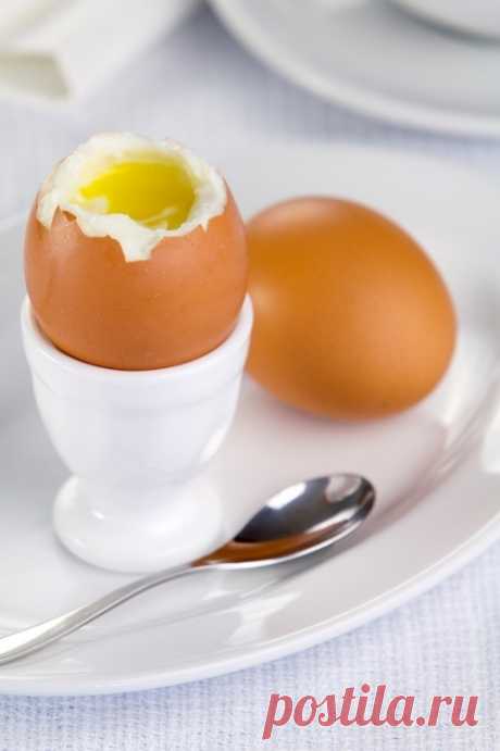 Как правильно варить яйца - мастер-класс - Леди Mail.Ru