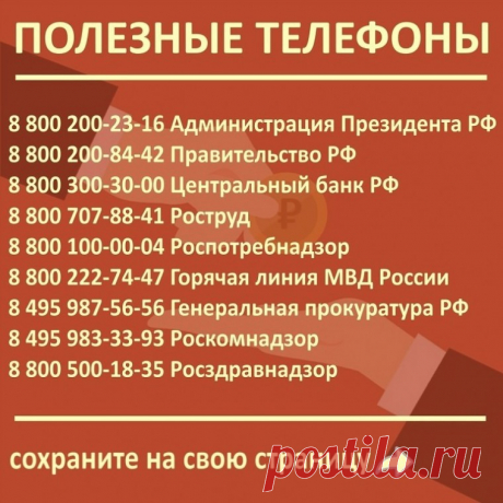 Какие стоит сохранить полезные телефоны