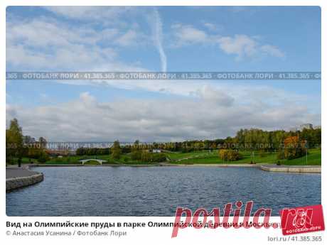 Вид на Олимпийские пруды в парке Олимпийской деревни в Москве ранней осенью. (2016 год) Редакционное фото, фотограф Анастасия Усанина / Фотобанк Лори