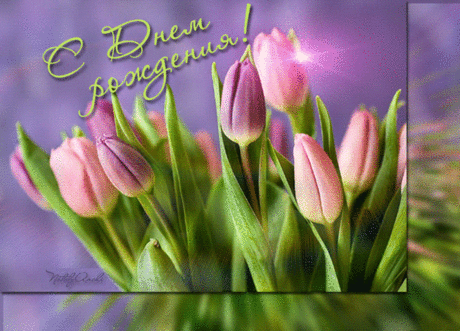 Картинка с днём Рождения букет тюльпанов - Картинки с Днем Рождения - Открытки для поздравления