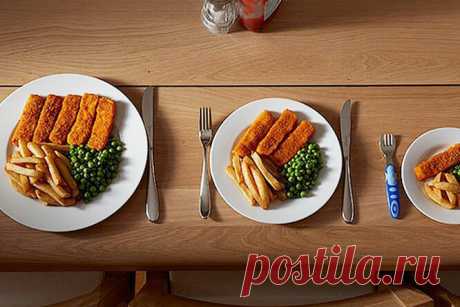 Нормальный размер порций: проверьте, не переедаете ли вы! | Goodhouse.ru