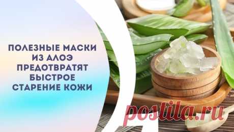 ПОЛЕЗНЫЕ МАСКИ ИЗ АЛОЭ ПРЕДОТВРАТЯТ БЫСТРОЕ СТАРЕНИЕ КОЖИ

Издревле известно, что алоэ обладает многими полезными свойствами. И действительно, вес мы помним еще с детства лекарства на основе этого растения, которые помогают при многих заболеваниях. Но не все или не в полном объеме знают о чудесных косметологических свойствах алоэ. Сок этого растения предотвращает старение кожи, способствуя образованию новых клеток. Кроме того, сок алоэ предотвращает появление морщин и разг...