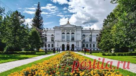 Российские университеты вошли в топ-3 лучших вузов Евразии по версии THE | Культура и искусство