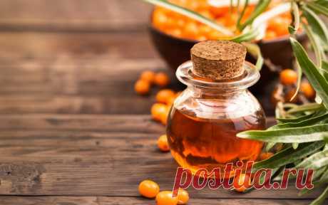 Облепиховое масло: лечебные свойства | Polza-vred.su