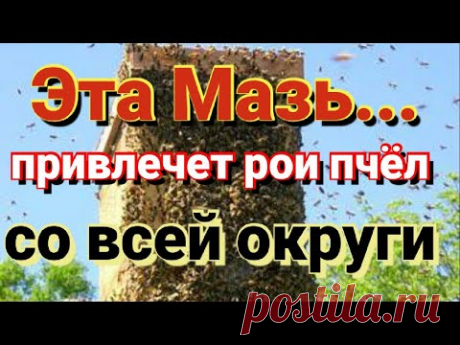 Мазь для привлечения роев в ваши ловушки. Пчеловодство начинающим.