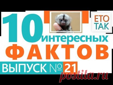 10 интересных фактов