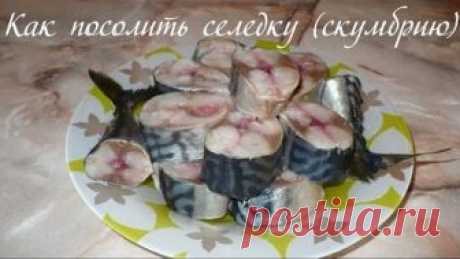 Рецепт вкусной домашней селедки (скумбрии)