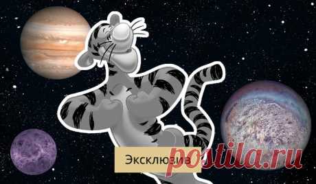 Что знакам Зодиака ждать от года Черного водяного Тигра | WMJ.ru