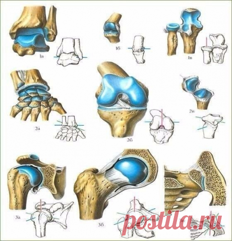 7 способов помочь своим суставам / Будьте здоровы