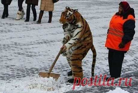 Гринпис за работой!