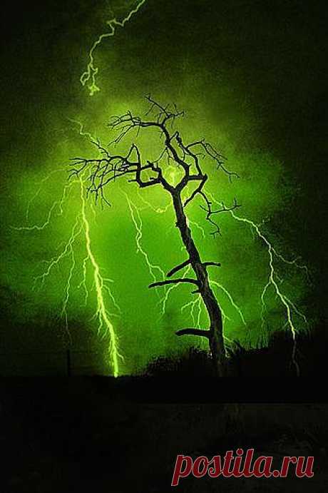 Green Lightning | LITTLE TOO CREEPY FOR ME